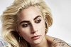 Lady Gaga Fame - Click Image to Close